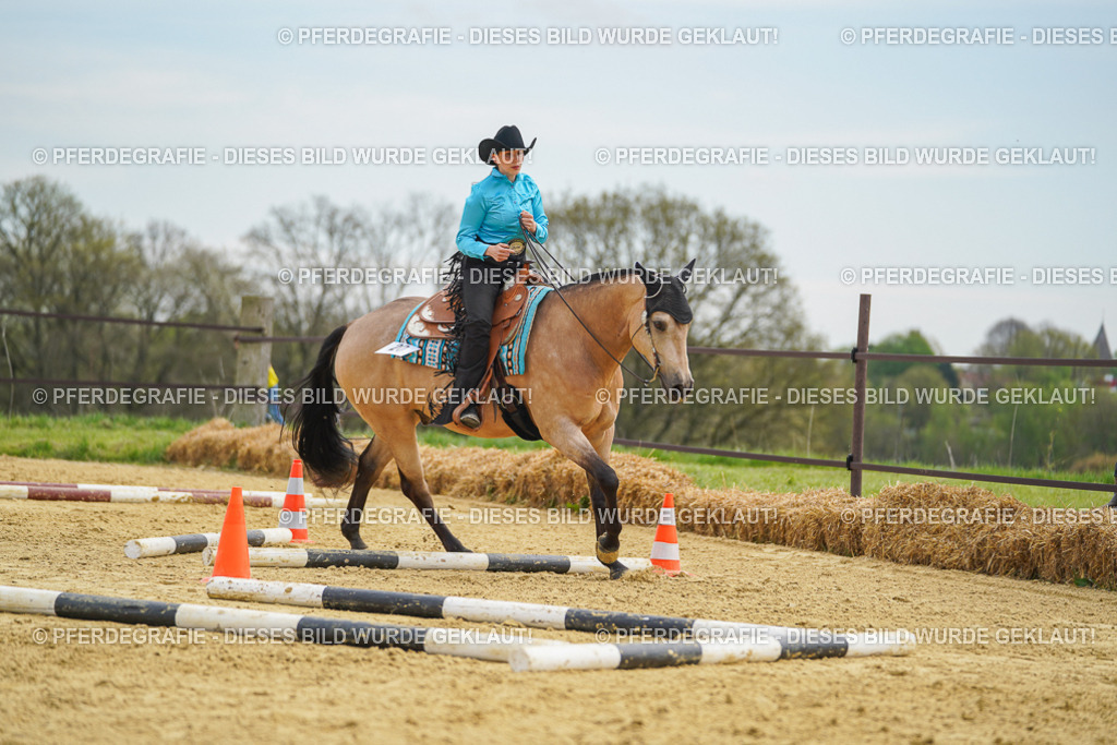 DSC03397 | Pferdegrafie