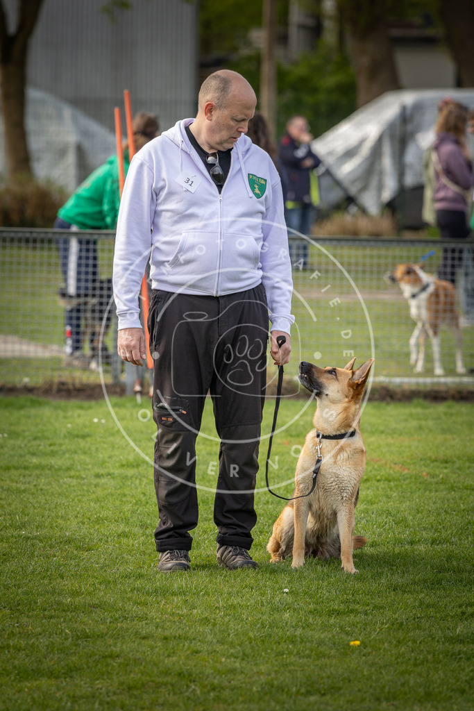 Pfotenfotografie_DV3A4911 | Hundefotografie, Tierfotograf, Pfotenfotografie, Fotoshooting Hund, Hunde Portrait, Hundesport, Hundeportraits, Heideshooting, Hunde, Sportfotograf, Hundefotograf, Turnierhundsport, THS,  - Realisiert mit Pictrs.com