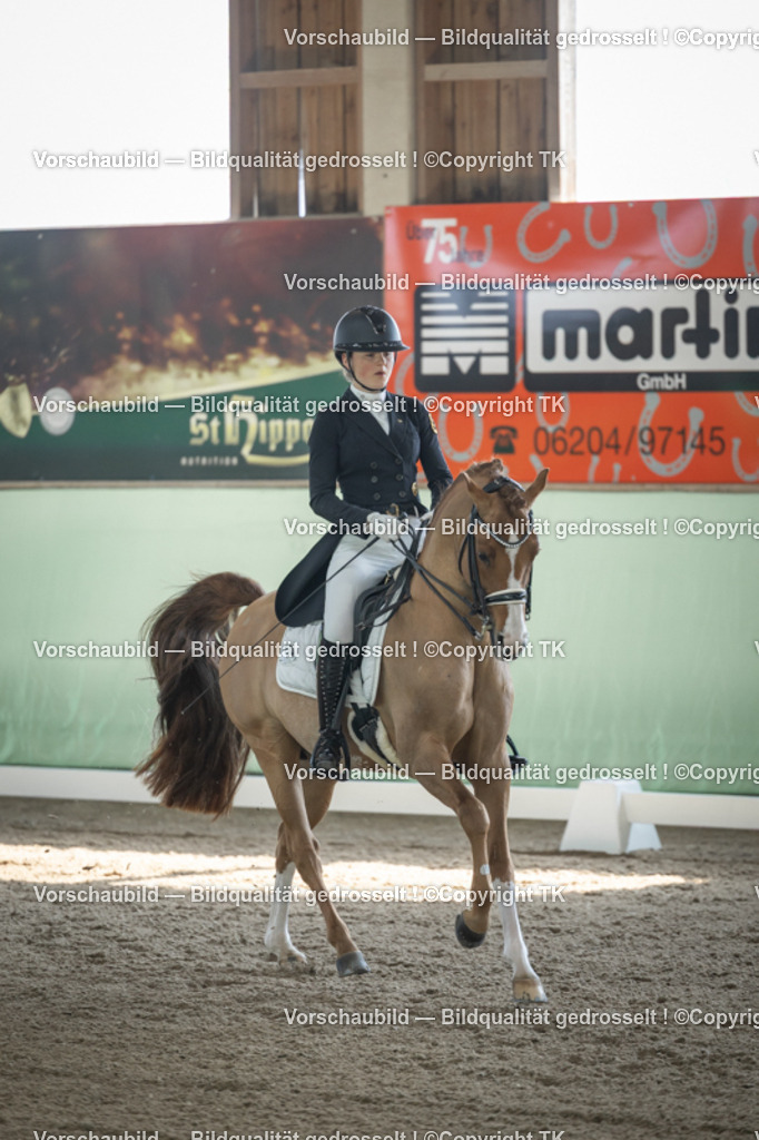 _D5A9413 | Emotionale Pferde- & People-Fotografie rund um Heidelberg, Leimen & Umgebung. Natürliche Fotos von Pferd, Mensch & Familie. Jetzt Termin sichern!