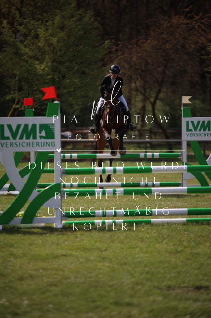 IMGT5435 | pl-fotografie