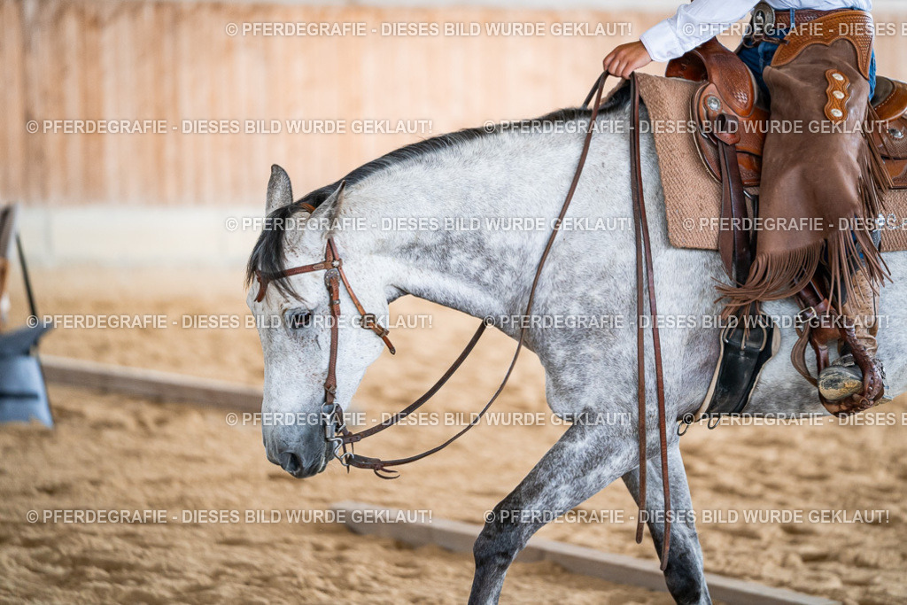 DSC08662 | Pferdegrafie