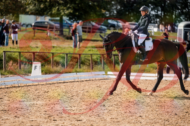 2026_10_03_Siefer-Hof_133641_Z63_97523955 | Professionelle Reitsport-, Turnier- und Eventfotografie von Robert Broda. Galerien mit ausgewählten und bearbeiteten Bildern direkt online ansehen und bestellen.