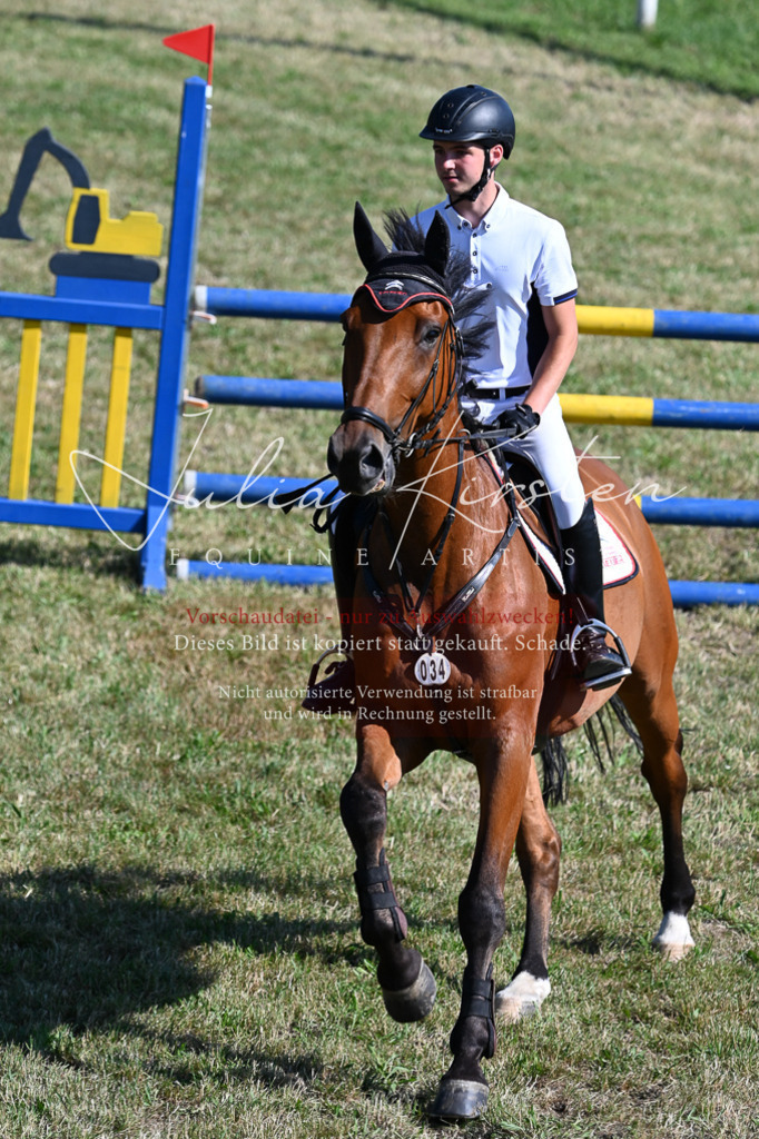 DSC_1915 | Pferde- und Turnierfotografie in Westsachsen. Pferdeportraits, Auftragszeichnungen und intuitive Kunst.