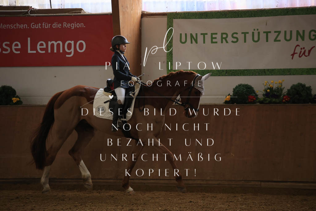 IMGT9940 | pl-fotografie