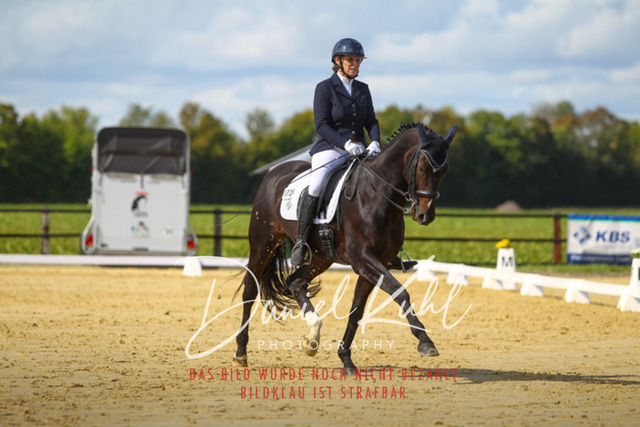 DKP44261 | Turniersportfotografie; Pferdefotografie; Dressurfotografie