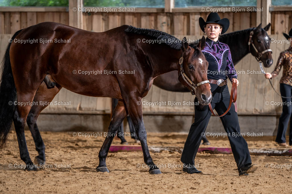 SAL00825 | BS-foto