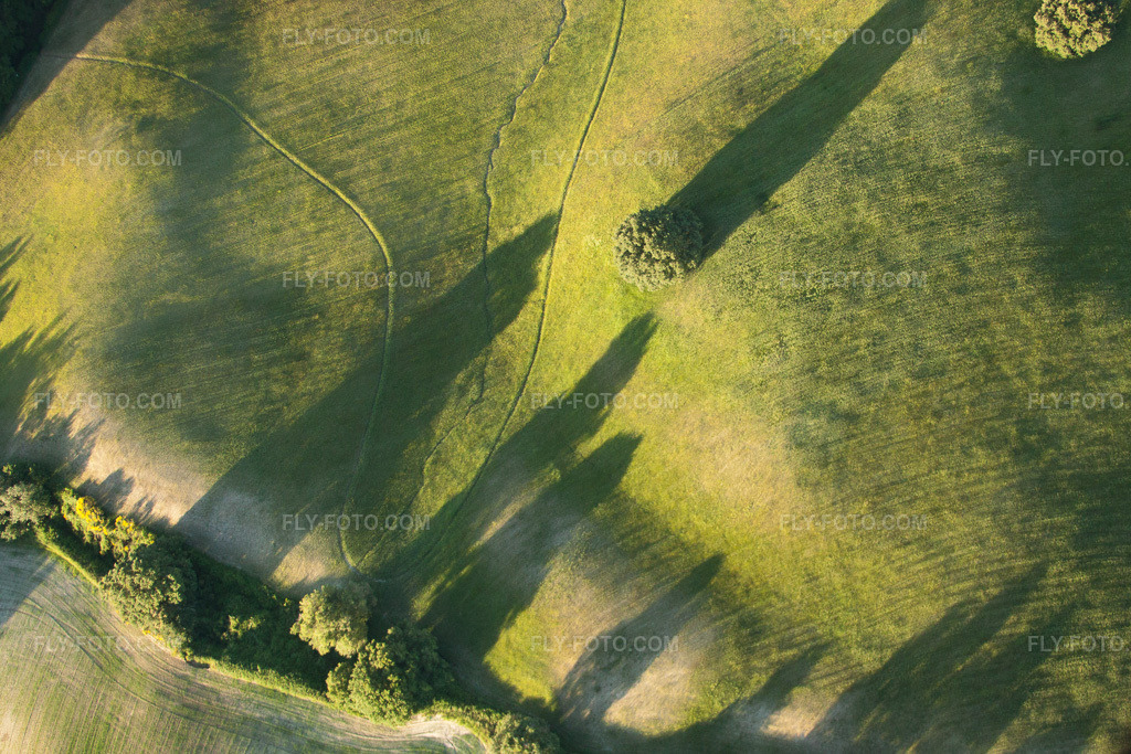 Aerial view: Grassland structures of a field and meadow landscape with tree shade in the district of Località Il Colle in Trequanda in the state Siena, Italy. – Photo: IMG_28140.jpg taken on 06/01/2010 by Werner Riehm/FLY-FOTO.com – Resolution of the original: 3932 x 2621 px