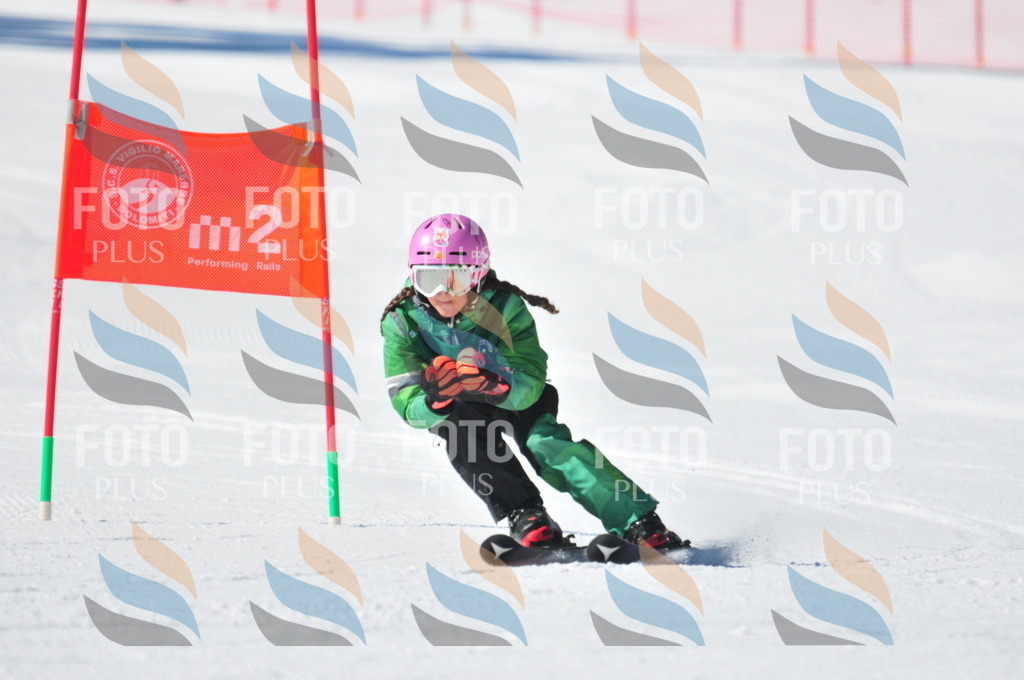 C3244 | holidayphoto