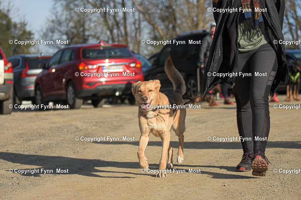 DSC_0261 | Hallo und herzlich Willkommen auf meiner Shop-Seite Fynn Most.

Ich wünsche Dir viel Spaß beim stöbern durch die Bilder, wenn Du Fragen hast oder Bilder vermisst, kannst du mir gerne eine Nachricht schreiben. - Realisiert mit Pictrs.com