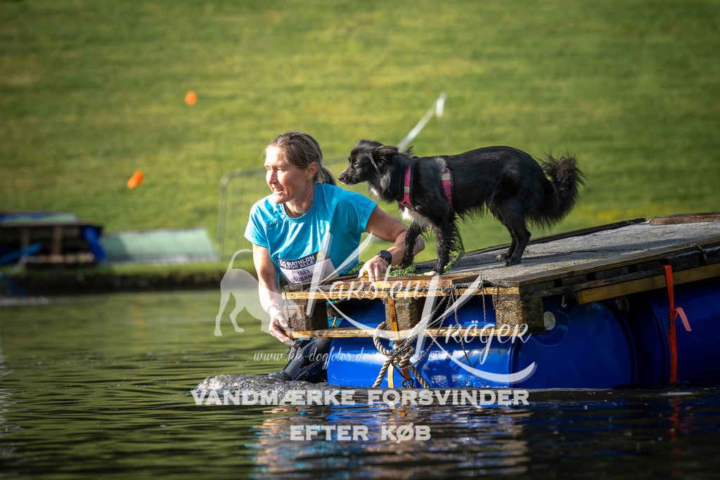 _ZZ938490709 | kk-dogfotos