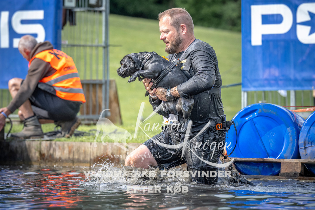 0837_ZZ99772 | kk-dogfotos