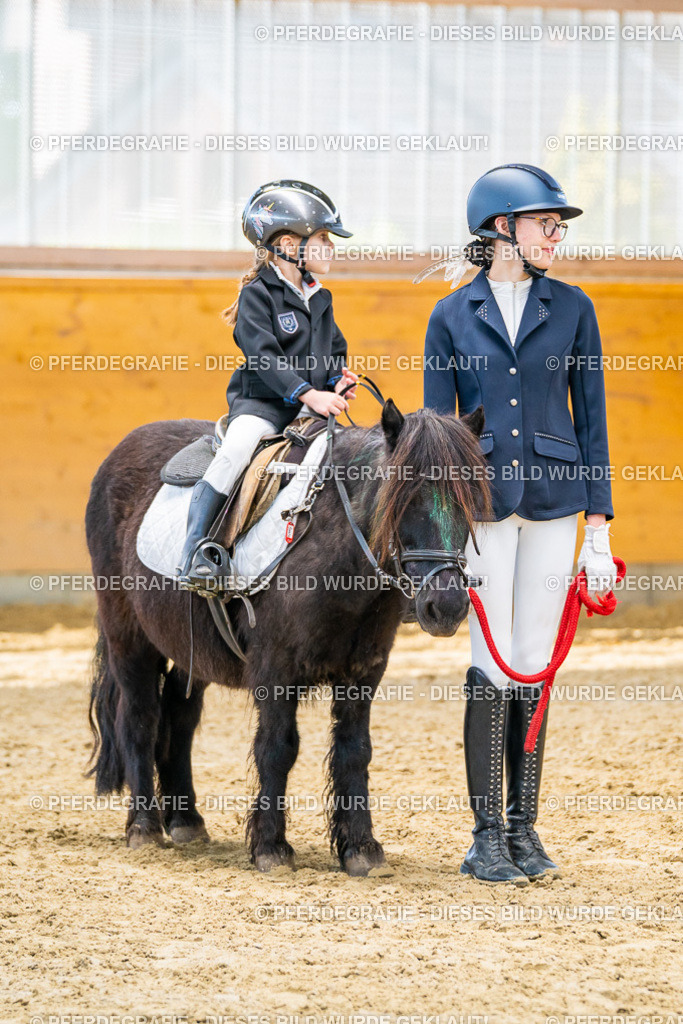 DSC00767 | Pferdegrafie