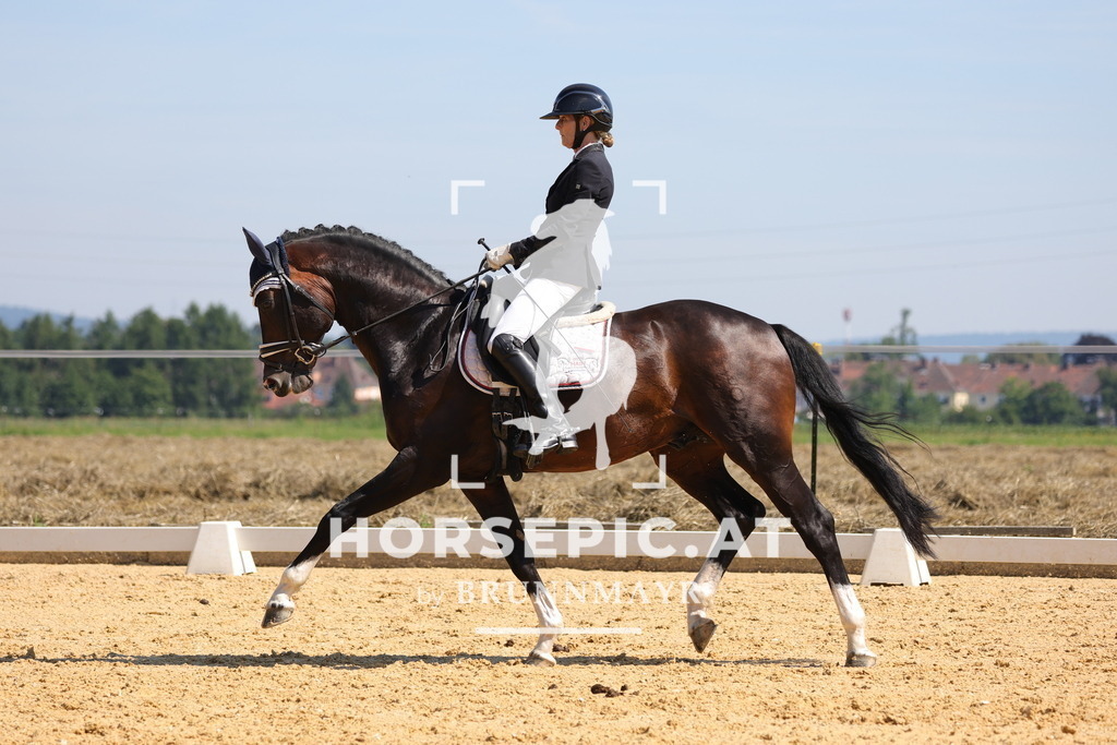 0P6A9630 | Willkommen bei Brunnmayr - Design & Fotografie – Ihrem Spezialisten für Reitturniere und Pferdeveranstaltungen in Oberösterreich, Salzburg und Bayern! Seit über 17 Jahren sind wir leidenschaftlich dabei.