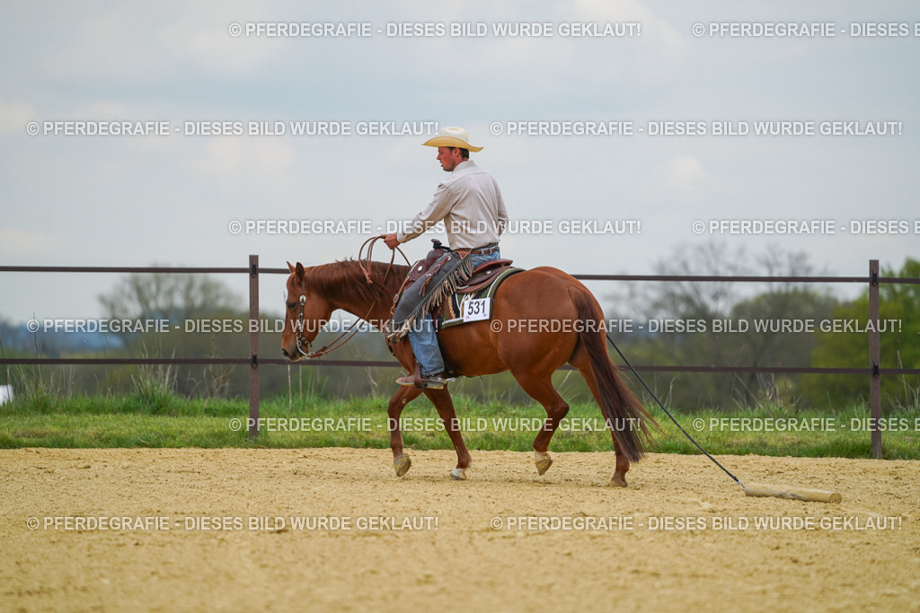 DSC07116 | Pferdegrafie