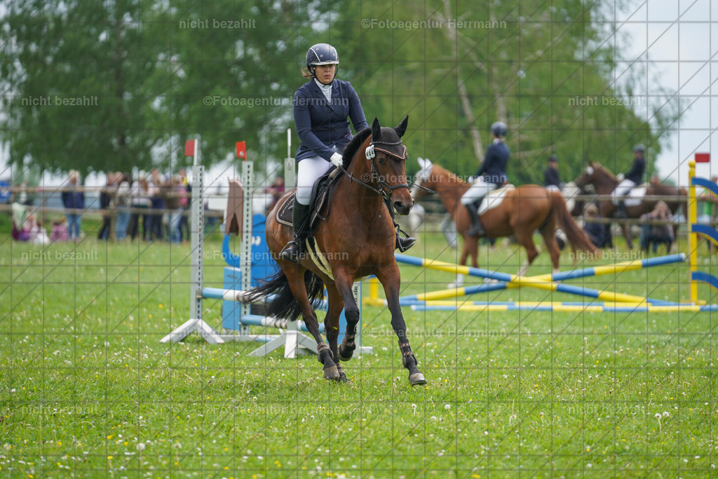 20240509-FAH02418 | Turnierbilder der Turnierfotografen Bayern, Pferdesport Fotografie, Reitsportbilder, Turnier Landberg am Lech, Turnierbilder bayern, Fotoagentur Herrmann