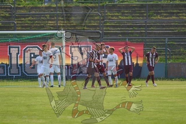 BFC Dynamo vs. Berliner AK 07 039 | mythos-online-redaktion