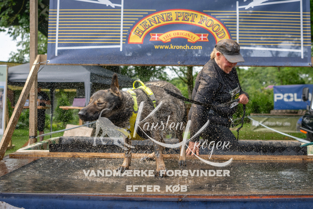 1115_ZZ93395 | kk-dogfotos