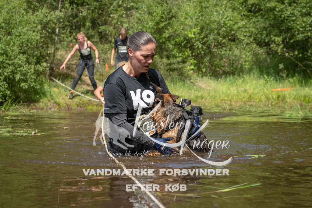 1209DKK991975 | kk-dogfotos