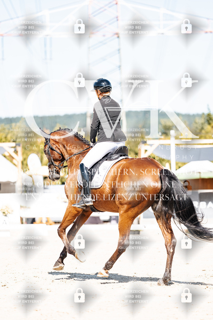 CK909194 | Turnierfotografie Pferdefotografie Trier Rheinland-Pfalz Pferdesport Reitsport Tierfotografie Sportfotografie Pferdevideo Pferdevideografie Equestrianvideography equestrianphotography  - Realisiert mit Pictrs.com