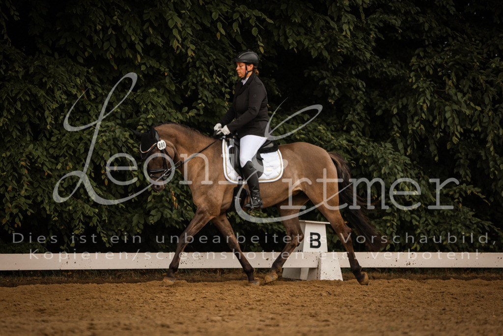 DoDrA00530 | Leoni Ertmer Photography - Realisiert mit Pictrs.com