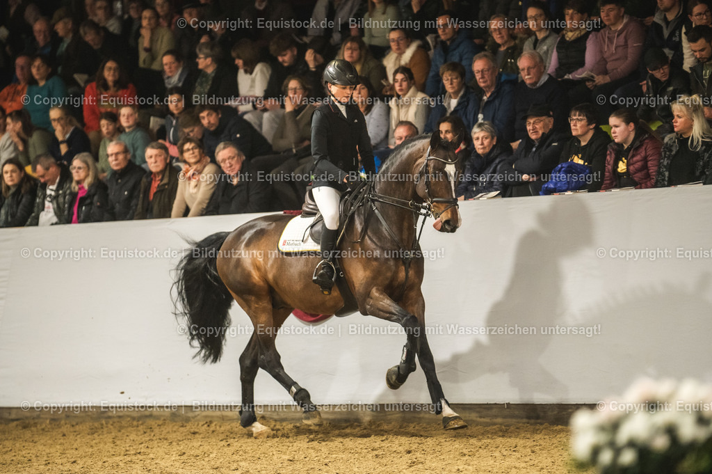 20240302_Hengstvorstellung_Marbach_TOMsPiC_1381 | equistock