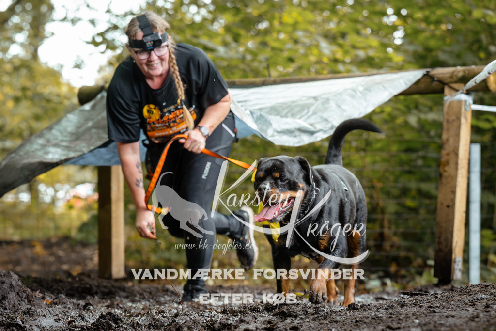 1431DZ6_2783Z6 | kk-dogfotos