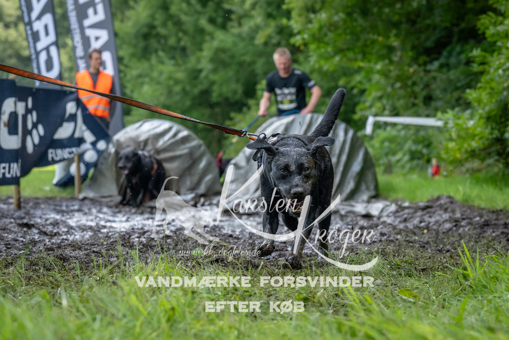 1138_ZZ93738 | kk-dogfotos