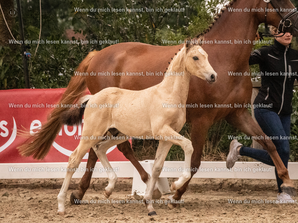 A10I1857 15.54.45 | photographylinaismer - Realisiert mit Pictrs.com