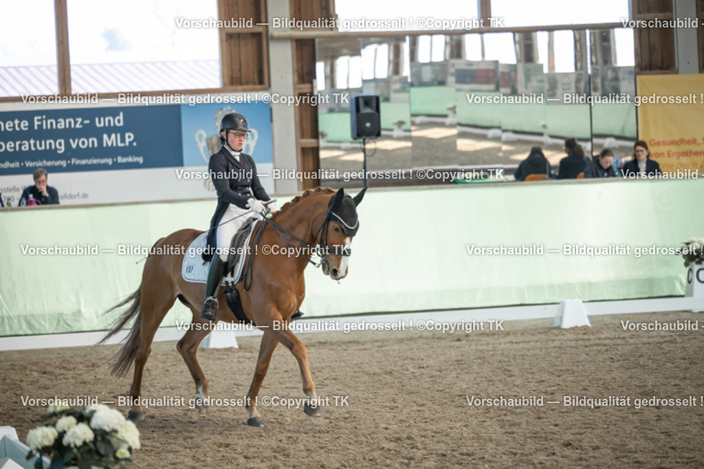 _D5A0437 | Emotionale Pferde- & People-Fotografie rund um Heidelberg, Leimen & Umgebung. Natürliche Fotos von Pferd, Mensch & Familie. Jetzt Termin sichern!