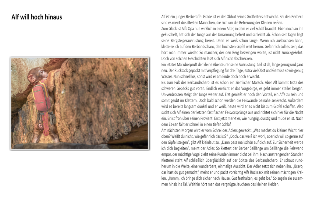 Kalender Alf will hoch hinaus | Die schönsten Bilder für Ihre Räume online bestellen! In unseren Bildergalerien findet Sie alles was es für Ihre Räume braucht. Lassen Sie sich überraschen ☺️ - Realisiert mit Pictrs.com