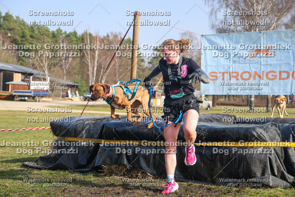 Dog Paparazzi - Strongdog North Mrz26-2363 | Dog Paparazzi Jeanette Grottendiek Fotografie & Videografie - Realisiert mit Pictrs.com