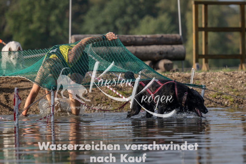 1031_ZZ93698 | kk-dogfotos