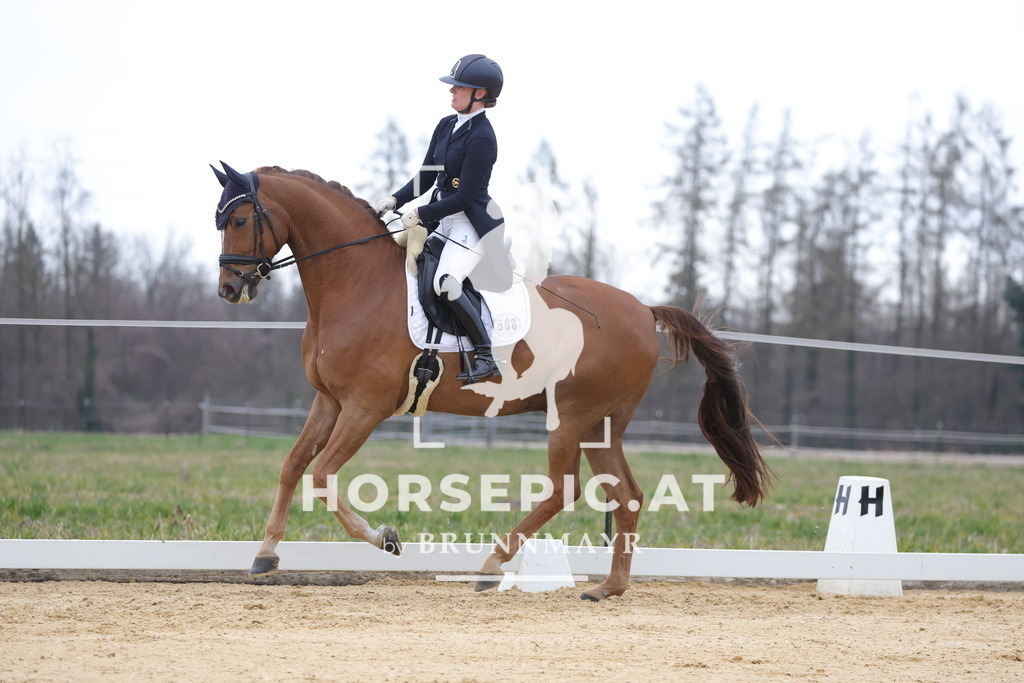 0P6A5519 | Willkommen bei Brunnmayr - Design & Fotografie – Ihrem Spezialisten für Reitturniere und Pferdeveranstaltungen in Oberösterreich, Salzburg und Bayern! Seit über 17 Jahren sind wir leidenschaftlich dabei.