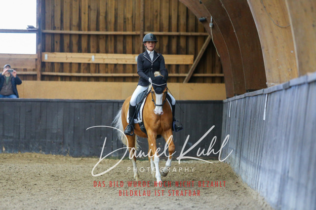 IMG_0238 | Turniersportfotografie; Pferdefotografie; Dressurfotografie