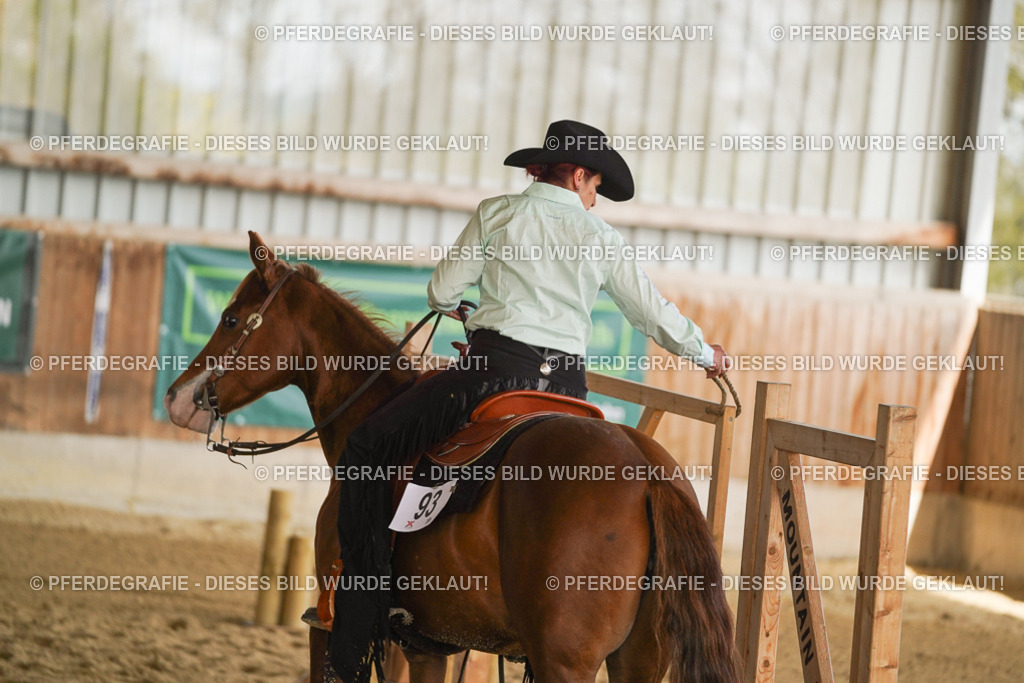 DSC03346 | Pferdegrafie