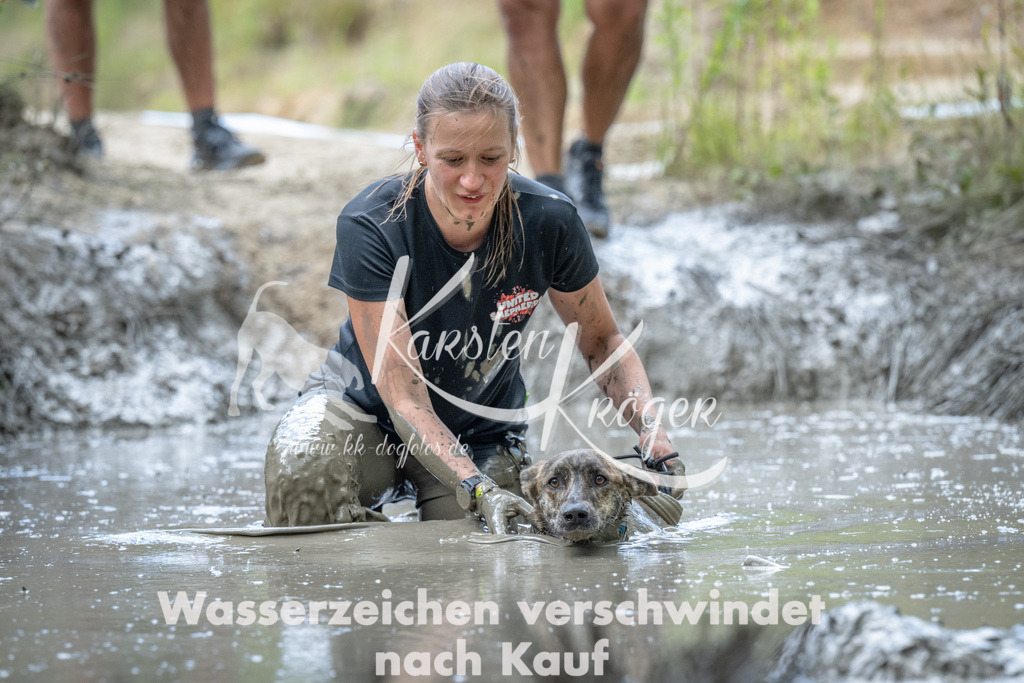 1155_ZZ93472 | kk-dogfotos