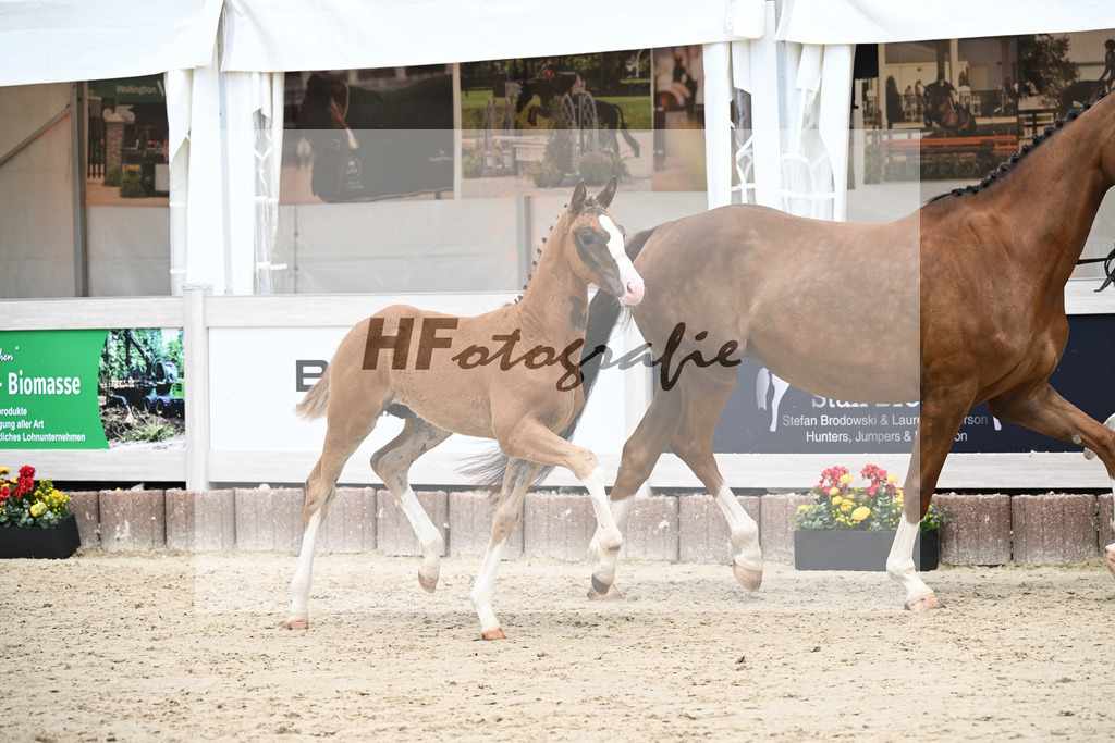 Filox x Borsalino_HF_Geiger_12250585 | hf-fotografie - Realisiert mit Pictrs.com