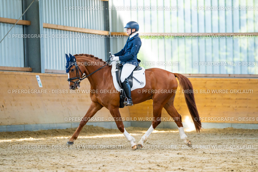 DSC06445 | Pferdegrafie