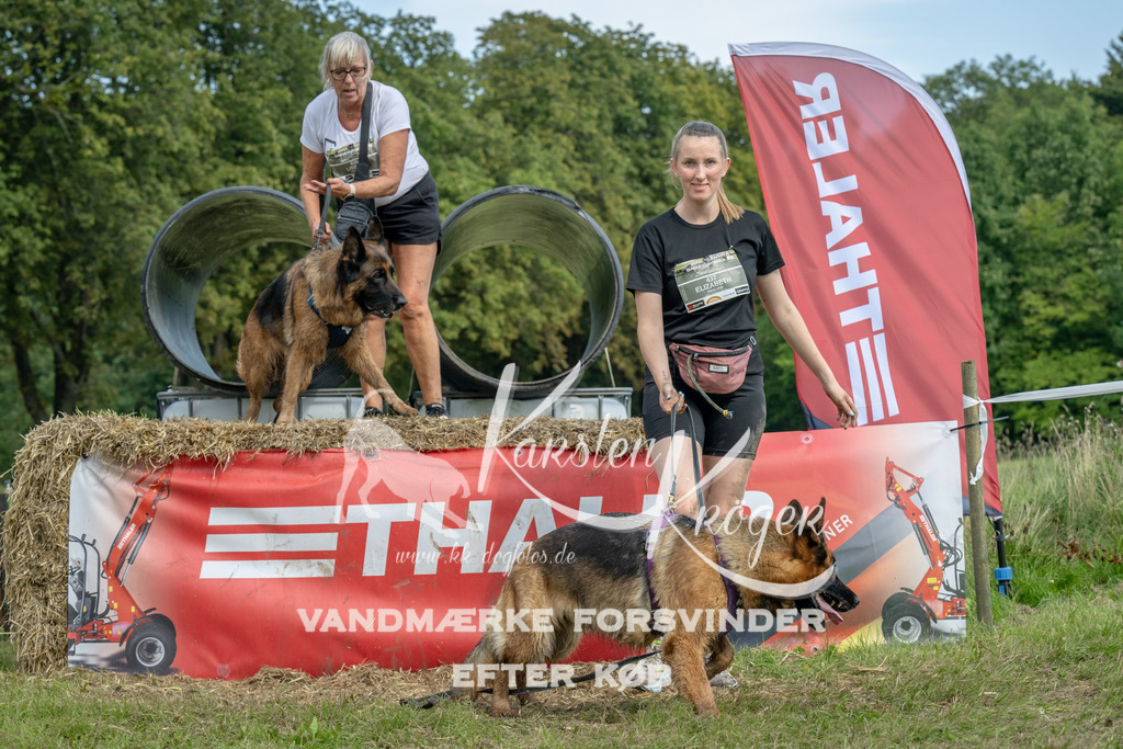 1427_ZZ91225 | kk-dogfotos