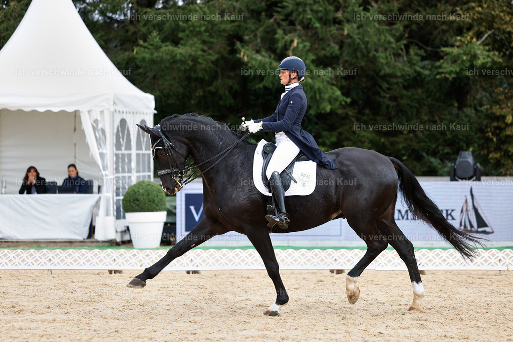 11-042-Dressur S___-StoibPH-1175 | working equitationturnier fotograf videograf stoibphotography marixx film working equitation deutschland reitsport turnierfotografie eventfotografie equestrian events