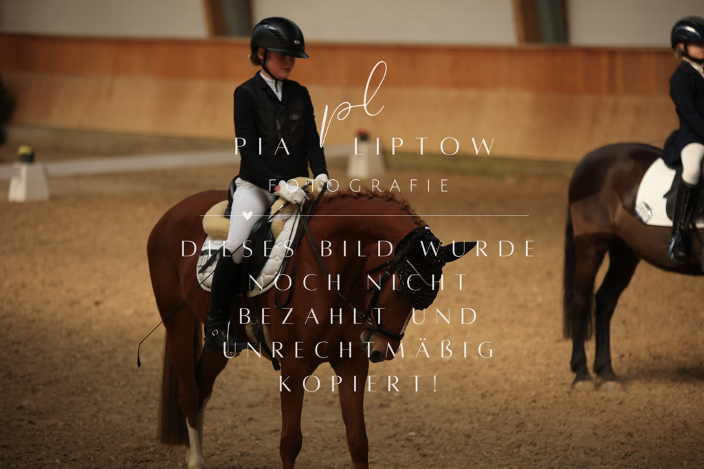 IMGT5590 | pl-fotografie