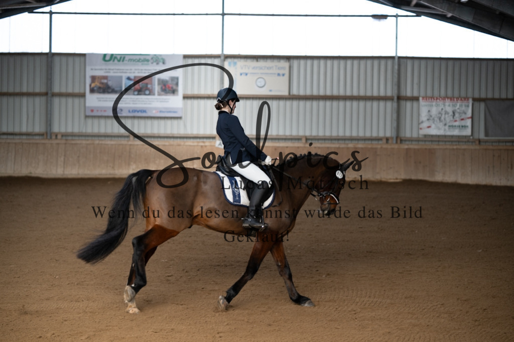 A7V05261 | Pferdefotograf