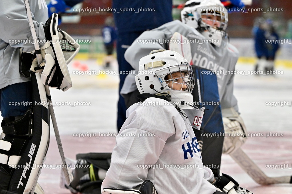Z9B_1605 | hockey sports photos, Pressefotos, Sportfotos, hockey247, win 2day icehockeyleague, Handball Austria, Floorball Austria, ÖVV, Kärntner Eishockeyverband, KEHV, KFV, Kärntner Fussballverband, Österreichischer Volleyballverband, Alps Hockey League, ÖFB, 