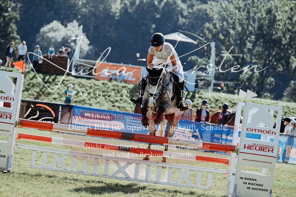 DSC_5510 | Pferde- und Turnierfotografie in Westsachsen. Pferdeportraits, Auftragszeichnungen und intuitive Kunst.