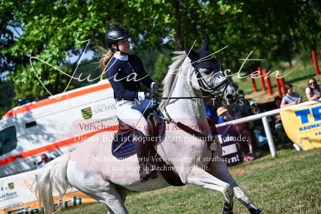 DSC_1398 | Pferde- und Turnierfotografie in Westsachsen. Pferdeportraits, Auftragszeichnungen und intuitive Kunst.