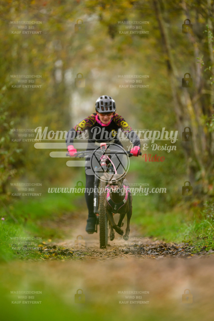 MompixPhotography_20TSB_E6_Bike-48 | PayLife