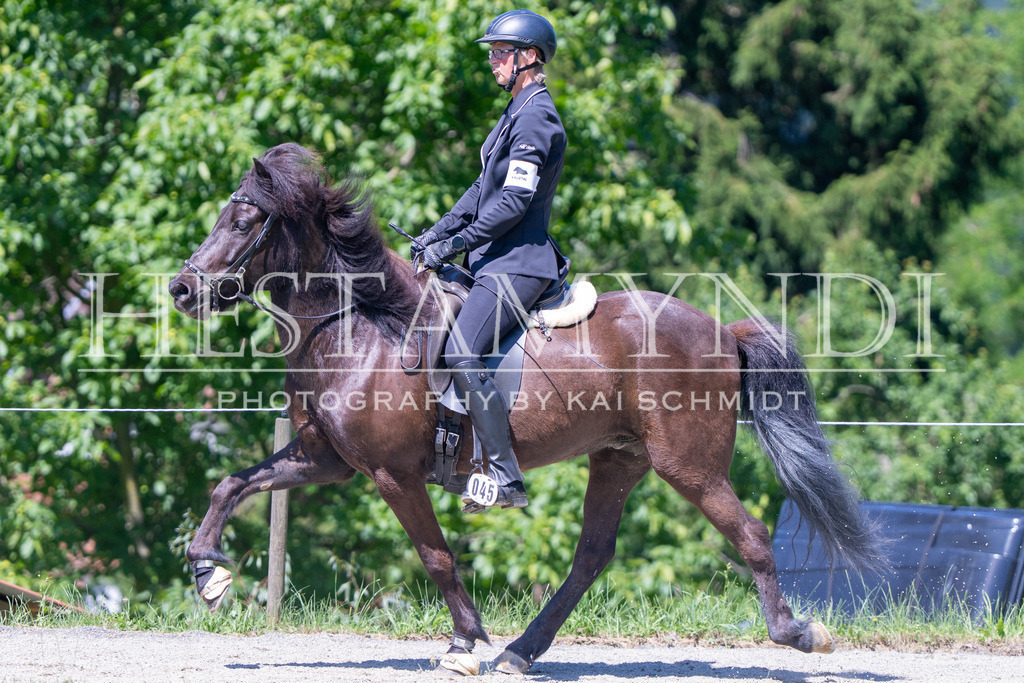 KAI09481 | Ihr sucht einen Fotografen für eure nächste OSI? Ich begleite auch euer Turnier für Islandpferde fotografisch.  - Realisiert mit Pictrs.com