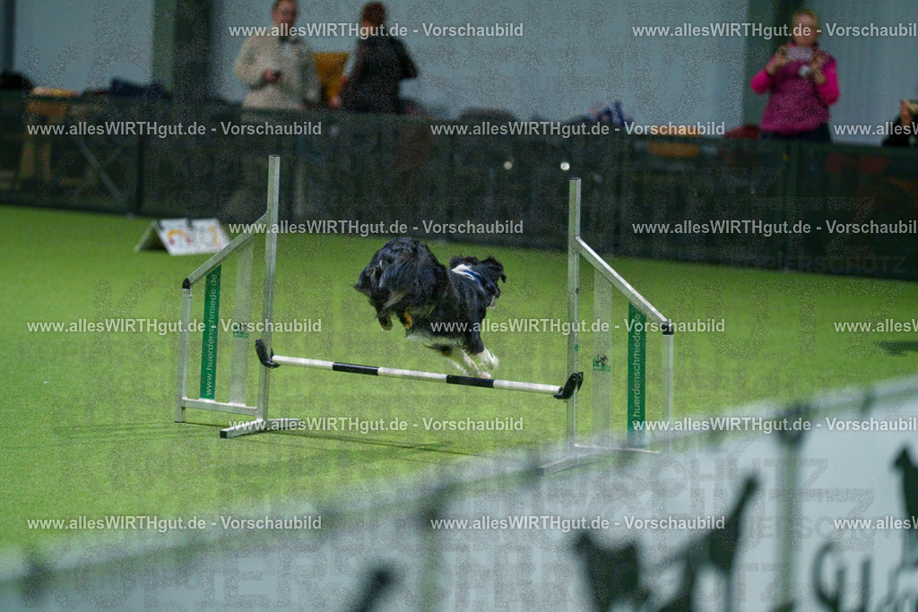 7R505381 | Professionelle Tierfotografie in Mönchengladbach von Daniel Wirth (allesWIRTHgut). Liebevolle & natürliche Bilder von Hunden & Katzen für unvergessliche Erinnerungen.