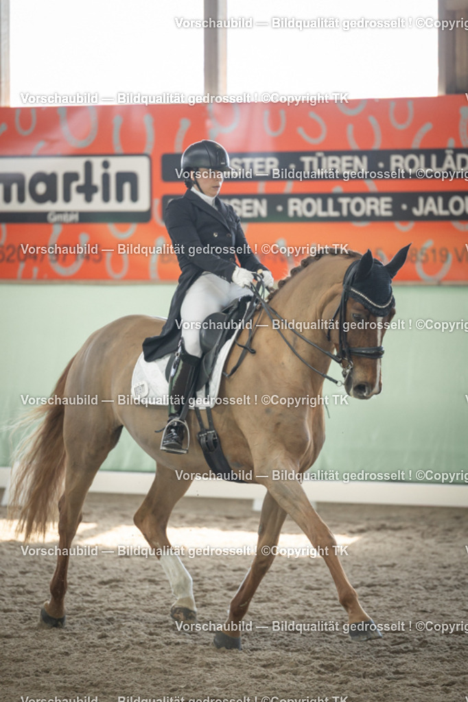 _D5A1343 | Emotionale Pferde- & People-Fotografie rund um Heidelberg, Leimen & Umgebung. Natürliche Fotos von Pferd, Mensch & Familie. Jetzt Termin sichern!