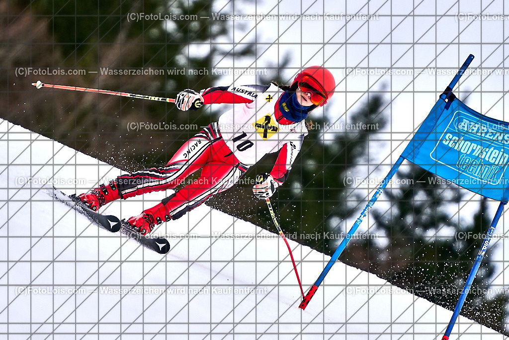 ALP7060_NOe-MASTERS-Cup-RTL_Distelpiste_Halper Annalena | (C)FotoLois.com, Alois Spandl. NÖ MASTERS-Cup Riesentorlauf auf der Distelpiste in Lackenhof, Sa 10. Februar 2024.